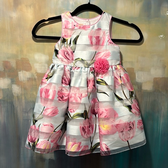 Pastourelle Other - Gorgeous pastourelle dress toddler 3t